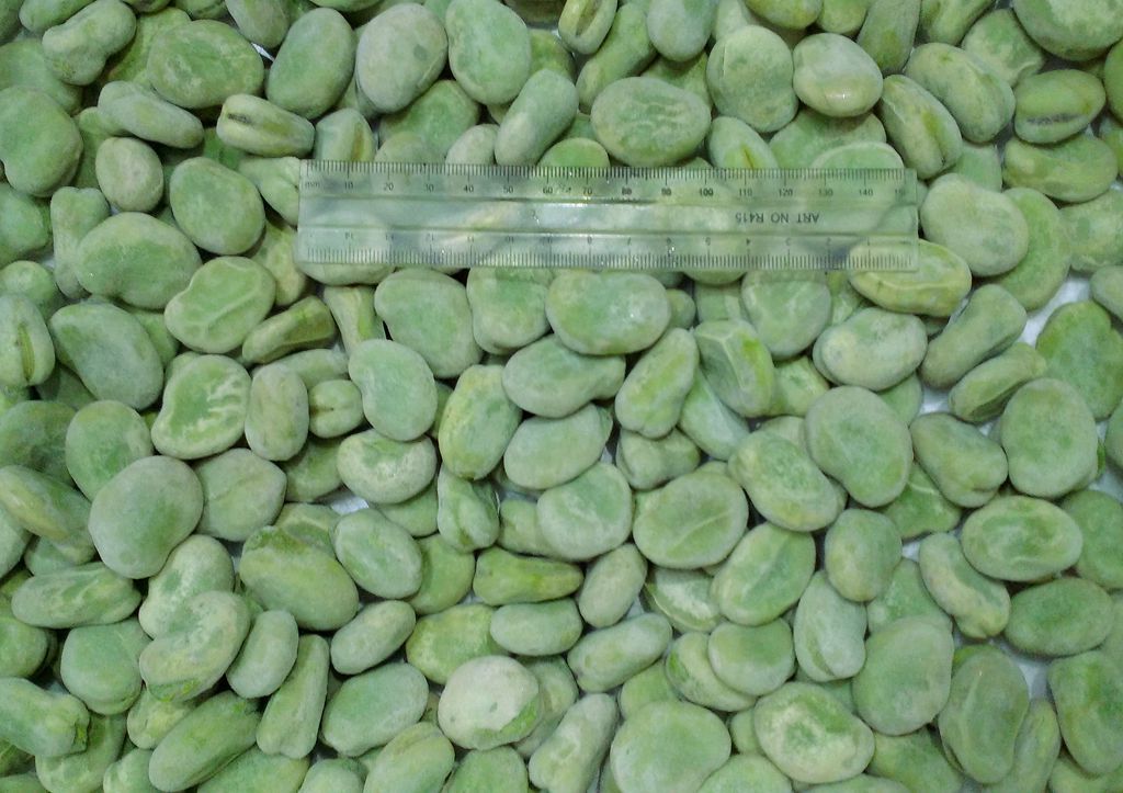 frozen broad bean.jpg